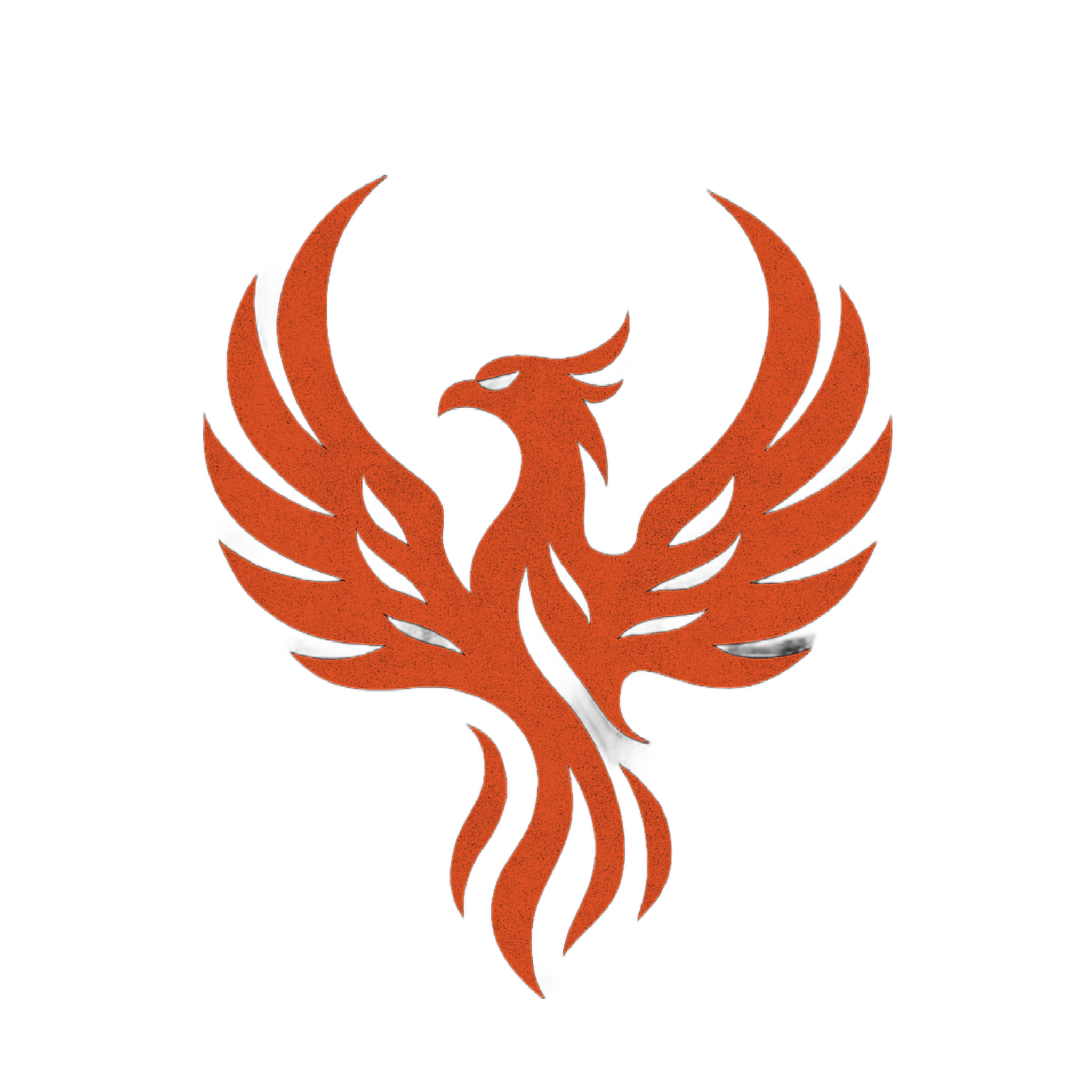 LR Distribution Records Logo